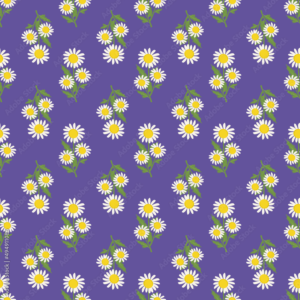 Seamless pattern of white chamomile flowers with green leaves on purple background. Print with field plant daisy. Vector flat illustration Seamless pattern of white chamomile flowers with green leaves on purple background. Print with field plant daisy. Vector flat illustration