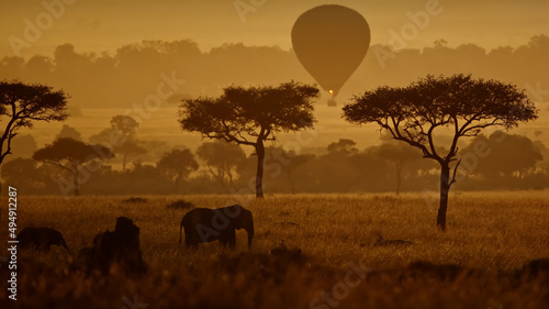 Field at sunset with silhouettes of trees, elephants, and a hot air balloon in Masai Mara, Kenya
