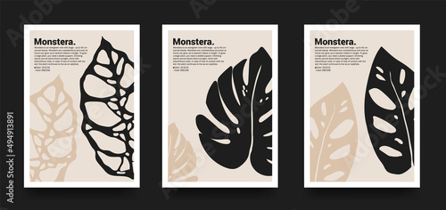 Collection of aesthetic posters with tropical leaves in a minimalist style. design for print, cover, wallpaper, minimalistic and natural wall art.
