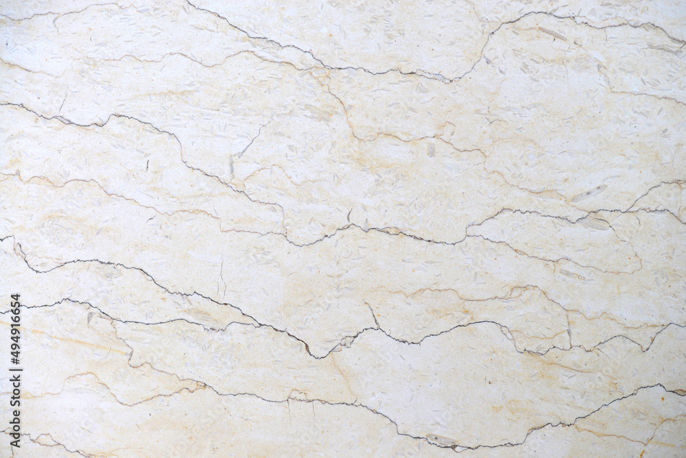fossil limestone texture