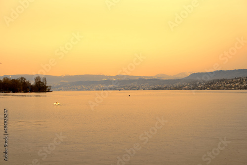 Lake Z  rich seen from City of Z  rich with orange sky because of Sahara dust with swan couple on a spring day. Photo taken March 15th  2022  Zurich  Switzerland.