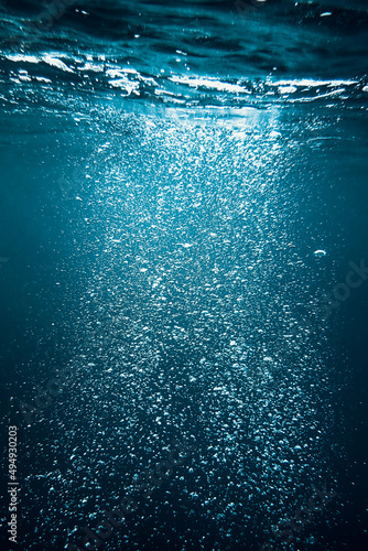 Фотография Vertical shot of air bubbles rising up under water and sunlight penetrating from