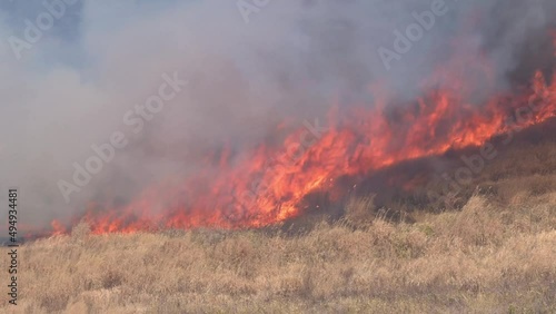 平尾台野焼き（午前の部）