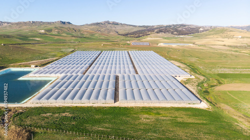 Greenhouse plant cultivation – glasshouse farms growing cultivation – vegetable production in greenhouse – exterior of tunnel greenhouse for agriculture – horticulture in plastic glasshouse