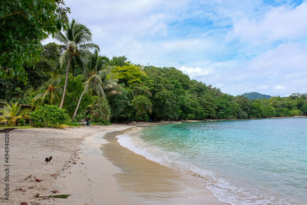 The stunning tree lined shoreline and turquoise ocean of Pokpok Island in Bougainville, Papua New Guinea