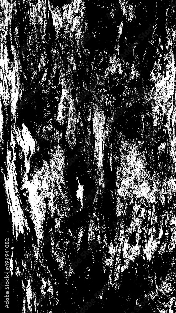 Black white texture of rugged relief fractured bark wood of aged cork oak. Old rough grunge of uneven ridged hard dry crust surface. Deep cut grooved coated layer, convex ornate textured rustic design Black white texture of rugged relief fractured bark wood of aged cork oak. Old rough grunge of uneven ridged hard dry crust surface. Deep cut grooved coated layer, convex ornate textured rustic design