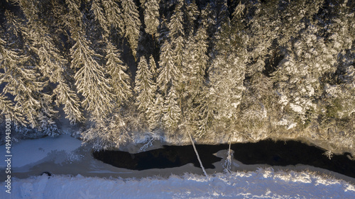 Beautiful view of a winter landscape with trees covered in snow in Parnu county, Estonia photo