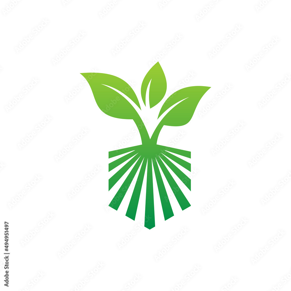 Growing Seed logo design vector , leaf , water and root simple concept