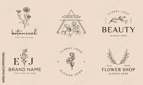 Set of Botanical Floral element Hand Drawn Logo with Wild Flower and Leaves. Logo for spa and beauty salon, boutique, organic shop, wedding, floral designer, interior, photography, cosmetic