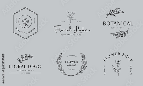 Set of Botanical Floral element Hand Drawn Logo with Wild Flower and Leaves. Logo for spa and beauty salon, boutique, organic shop, wedding, floral designer, interior, photography, cosmetic