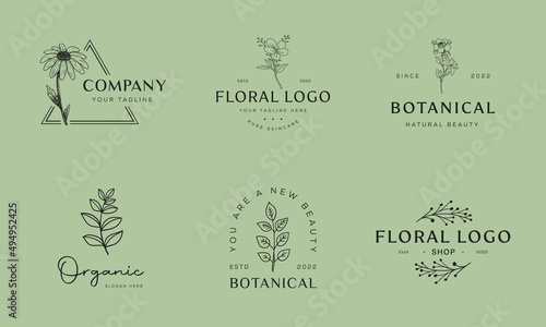 Set of Botanical Floral element Hand Drawn Logo with Wild Flower and Leaves. Logo for spa and beauty salon, boutique, organic shop, wedding, floral designer, interior, photography, cosmetic