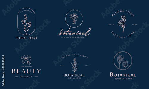 Set of Botanical Floral element Hand Drawn Logo with Wild Flower and Leaves. Logo for spa and beauty salon, boutique, organic shop, wedding, floral designer, interior, photography, cosmetic