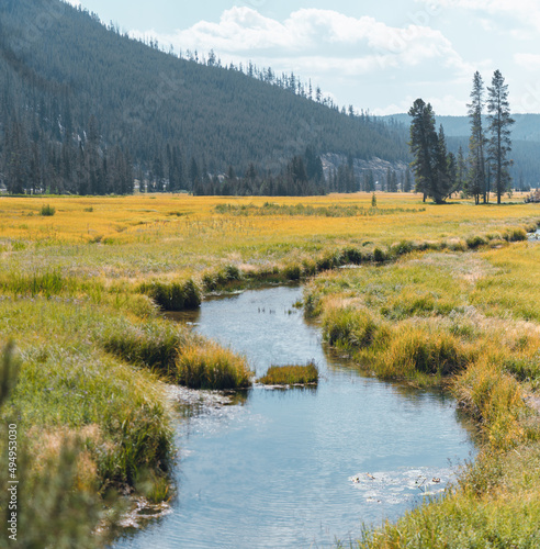 Small water stream through a green field in Yellowstone National Park