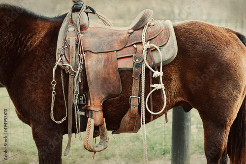 A close up image of a western saddle on a work horse on a ranch or farm with a vintage feel