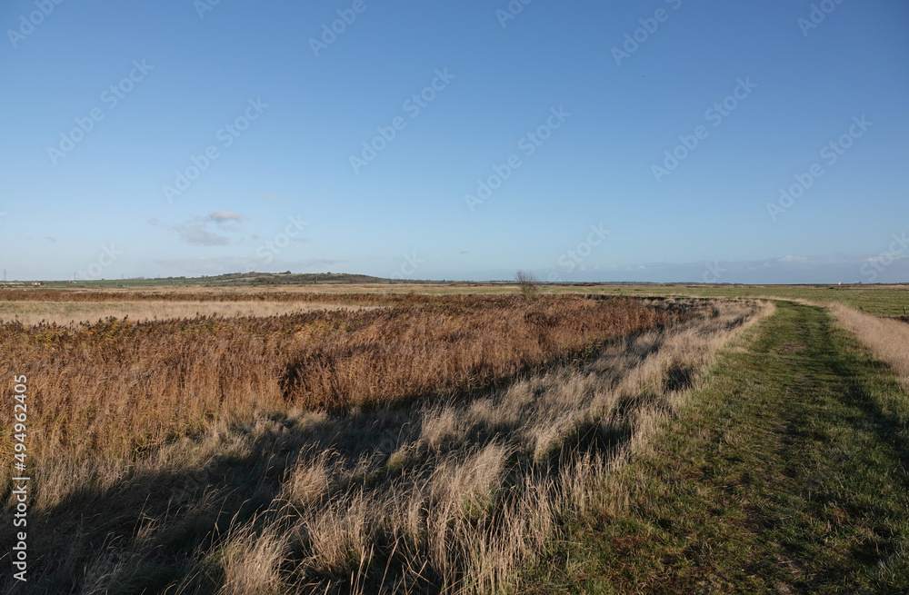 A beautiful scenic view of a rural footpath through Blue House Farm nature reserve in Essex, UK. 