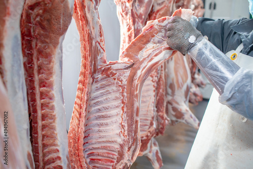 close-up of meat processing in the food industry, the worker cuts raw pig, storage in refrigerator, pork carcasses hanging on hooks in a meat factory photo