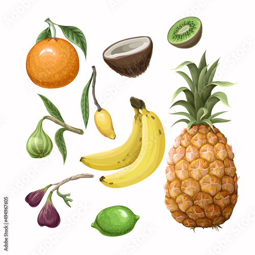Seamless pattern withSet of tropical fruits such as pineapple, orange, fig, banana etc. Vector.