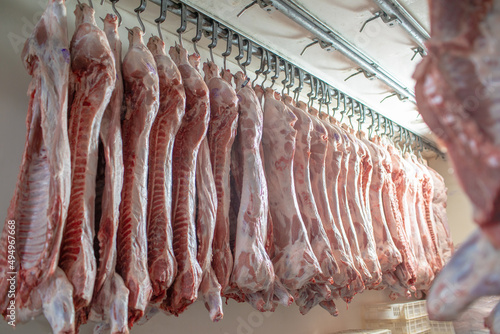 close-up of meat processing in the food industry, the worker cuts raw pig, storage in refrigerator, pork carcasses hanging on hooks in a meat factory photo