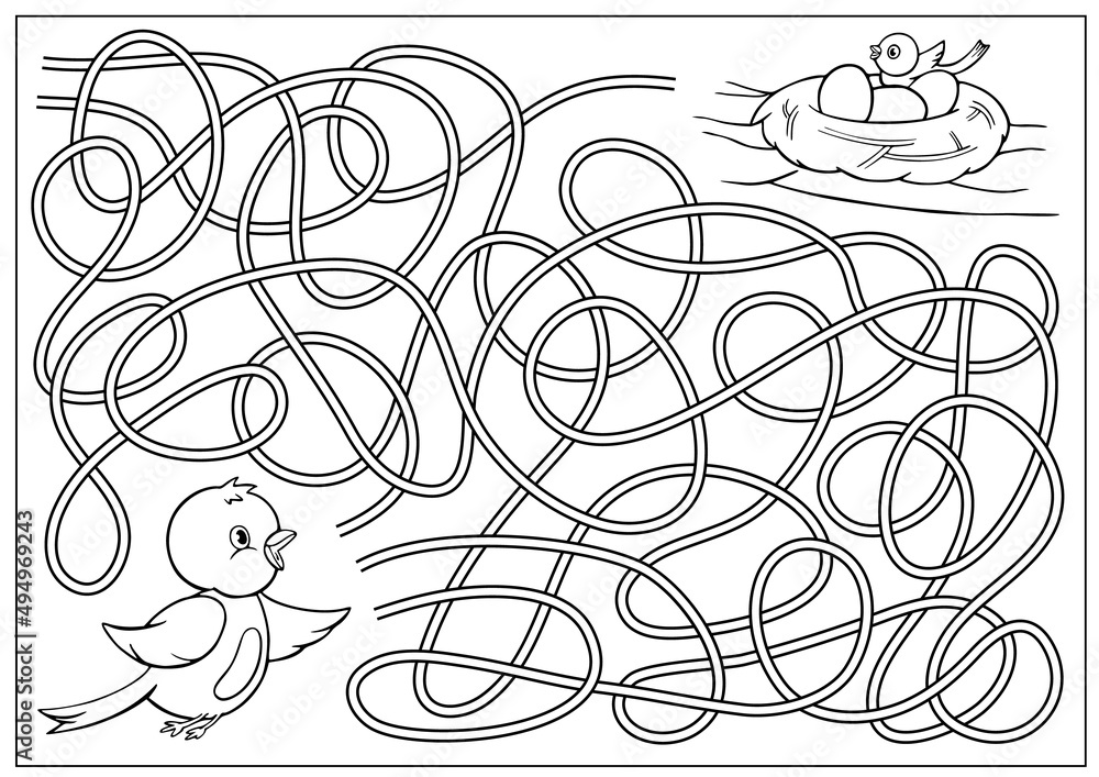 Fototapeta premium Kids maze game and coloring. Labyrinth for children. Riddle find way for cute birds. Education activity page. Vector illustration.