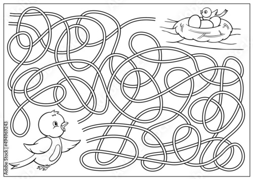Kids maze game and coloring. Labyrinth for children. Riddle find way for cute birds. Education activity page. Vector illustration.