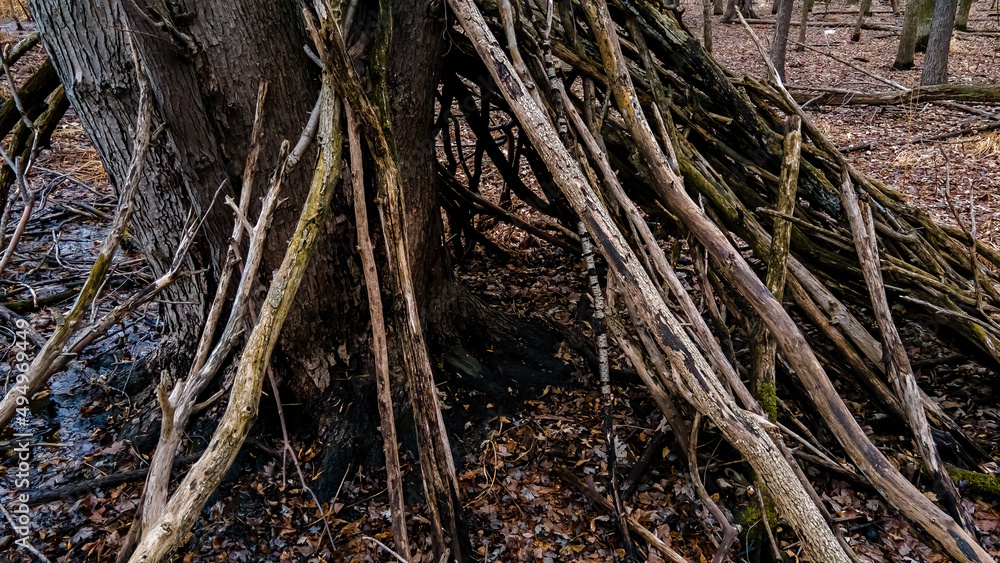 Strange tree house found in the woods Strange tree house found in the woods