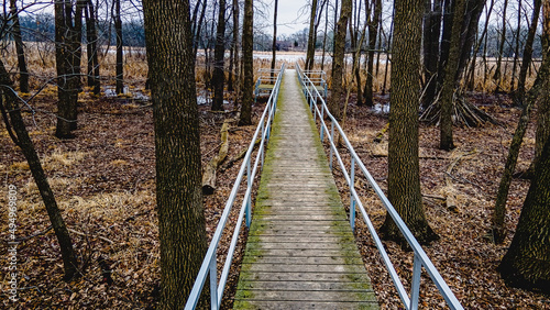 Looking from this bridge signs of spring shows