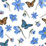 Hepatica blue spring floral seamless pattern. Watercolor design. Isolated on white background.