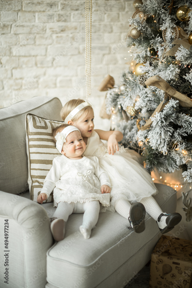 two beautiful sisters sit on an armchair in an embrace in holiday christmas