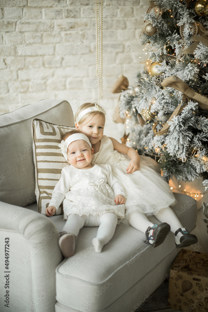 two beautiful sisters sit on an armchair in an embrace in holiday christmas
