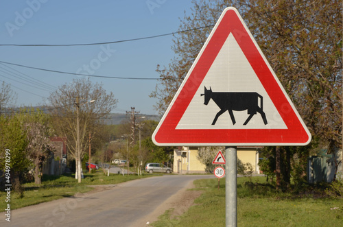 Close-up shot of a road sign warning the drivers about the cattle on a sunny day photo