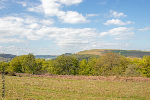 Summertime scenery along Hergest ridge in the UK. photo