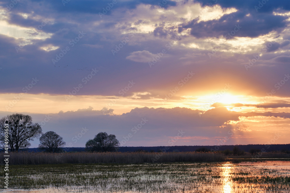 April sunset, early spring on the Biebrza marshes, landscape