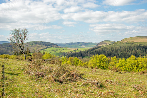 Summertime scenery along Hergest ridge in the UK. © Jenn's Photography 