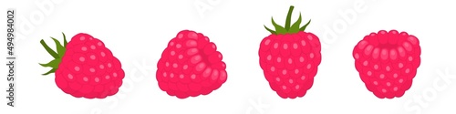 Ripe raspberries with green tail. Red sweet berry with juicy natural taste. Decorating desserts and making smoothies and vector juices