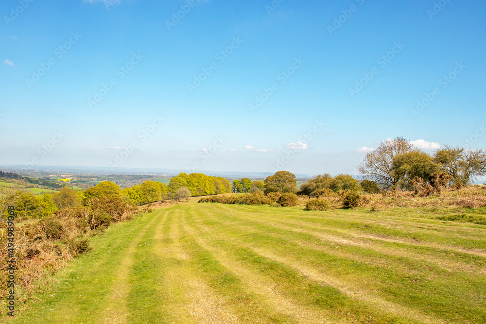 Obraz premium Summertime scenery along Hergest ridge in the UK.