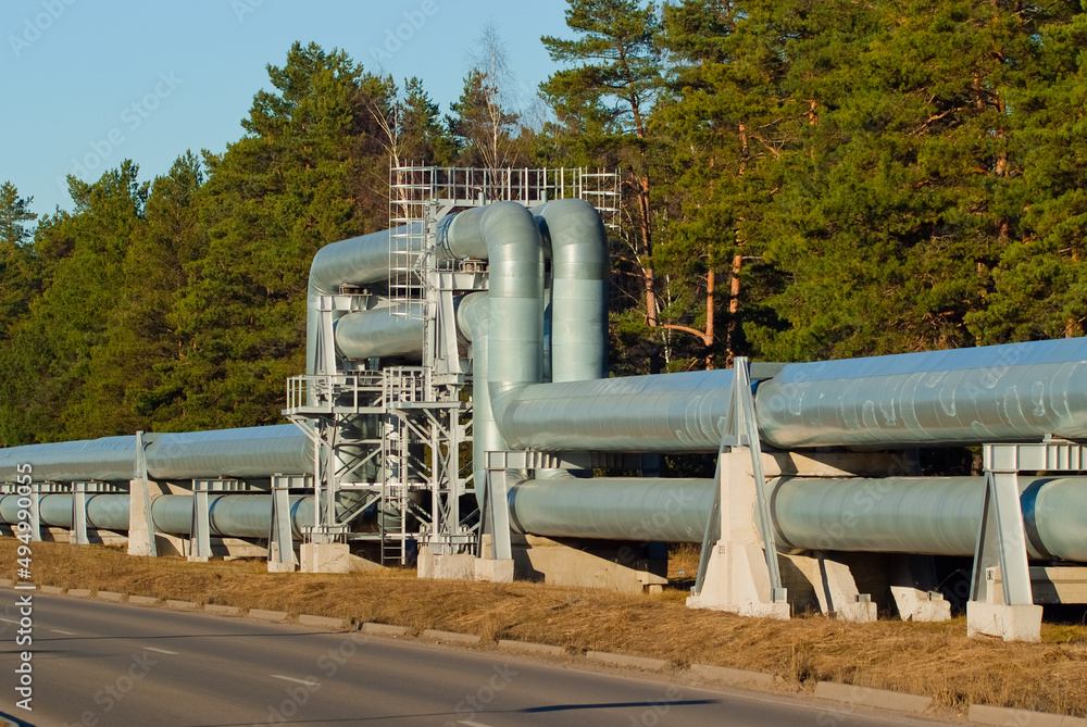 pipeline, in the photo pipeline close-up against a background of green forest and blue sky. pipeline, in the photo pipeline close-up against a background of green forest and blue sky.