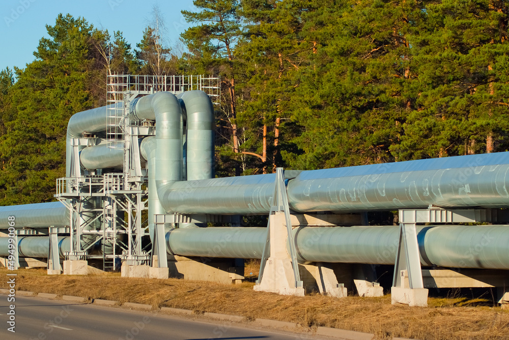 pipeline, in the photo pipeline close-up against a background of green forest and blue sky. pipeline, in the photo pipeline close-up against a background of green forest and blue sky.