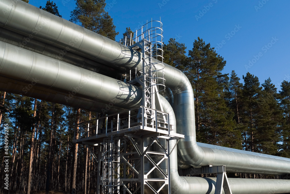 pipeline, in the photo pipeline close-up against a background of green forest and blue sky. pipeline, in the photo pipeline close-up against a background of green forest and blue sky.