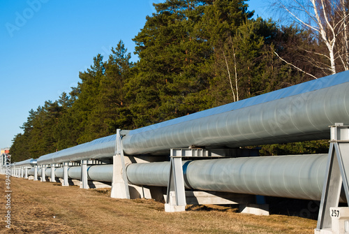 pipeline, in the photo pipeline close-up against a background of green forest and blue sky.