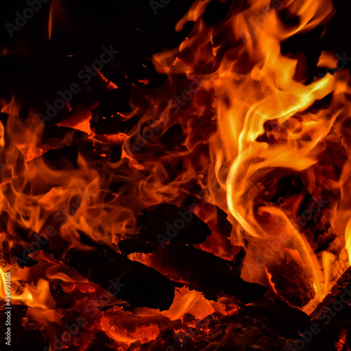 Fire flames on black background  Blaze fire flame texture background  Beautifully  the fire is burning  Fire flames with wood   cow dung