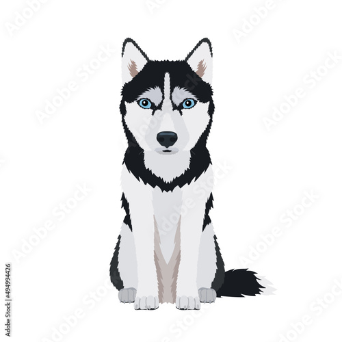 Vector hand drawn illustration of sitting Husky isolated on white background	