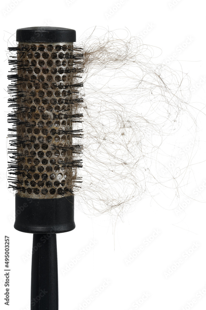 Hair loss problem with round hair brush , isolated on white background. Vertical frame layout