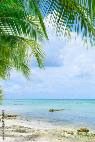 Fototapeta Naklejka Na Ścianę i Meble -  Travel background with Caribbean sea and palm leaves .