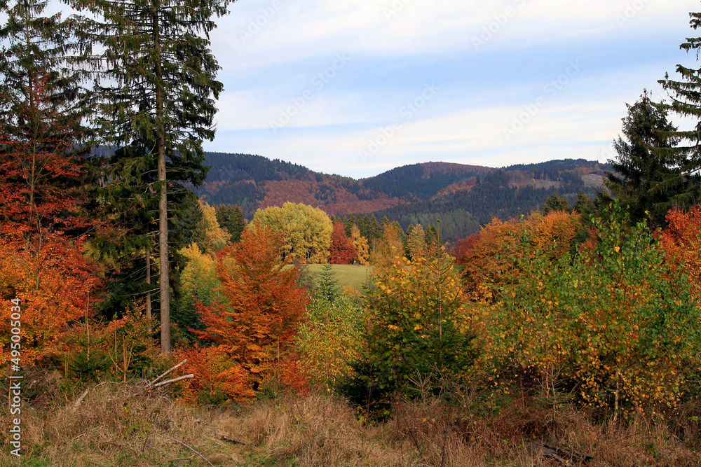 Der Herbst verzaubert unsere Natur. Kleinschmallalden, Thüringen, Deutschland, Europa --
Autumn enchants our nature. Kleinschmallalden, Thuringia, Germany, Europe