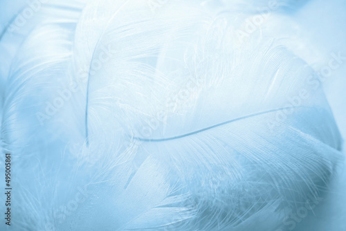 Blue fluffy bird feathers. Beautiful fog. A message to the angel. The texture of delicate feathers soft focus