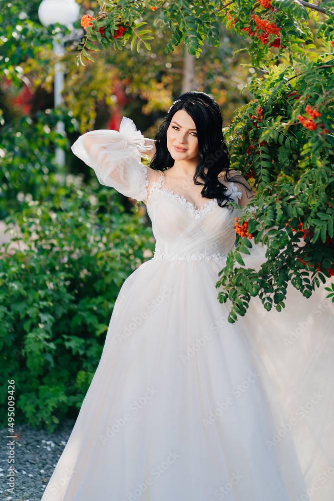 attractive brunette bride in a wedding dress in a park with rowan trees. attractive brunette bride in a wedding dress in a park with rowan trees.