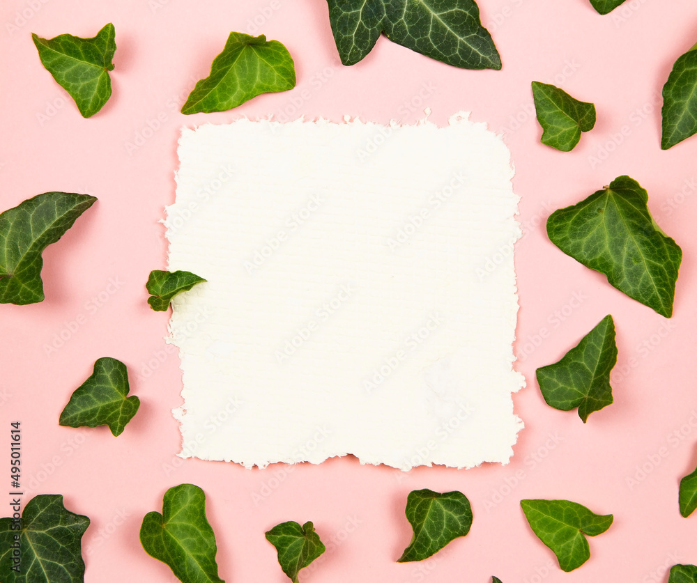 Naklejka premium Blank note