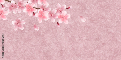桜　和紙　春　背景