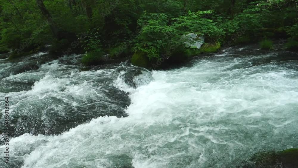 A fresh green mountain stream with abundant nature. A fresh green mountain stream with abundant nature.