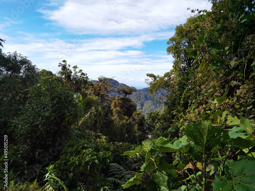 Cerro Pando Panamá Costa Rica